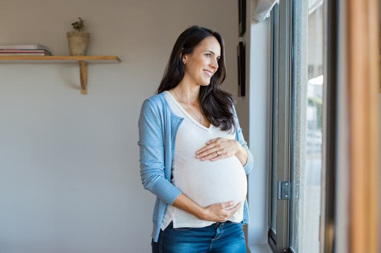 Meyer & Busch - Haushaltshilfe bei Schwangerschaft